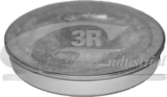 3RG 84702 - Cap, wheel bearing car-mod.net