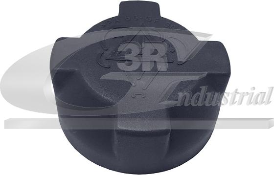 3RG 80753 - Sealing Cap, coolant tank car-mod.net