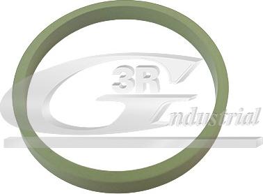 3RG 36704 - Gasket, intake manifold car-mod.net