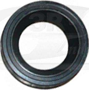 3RG 22244 - Guide Tube, clutch car-mod.net