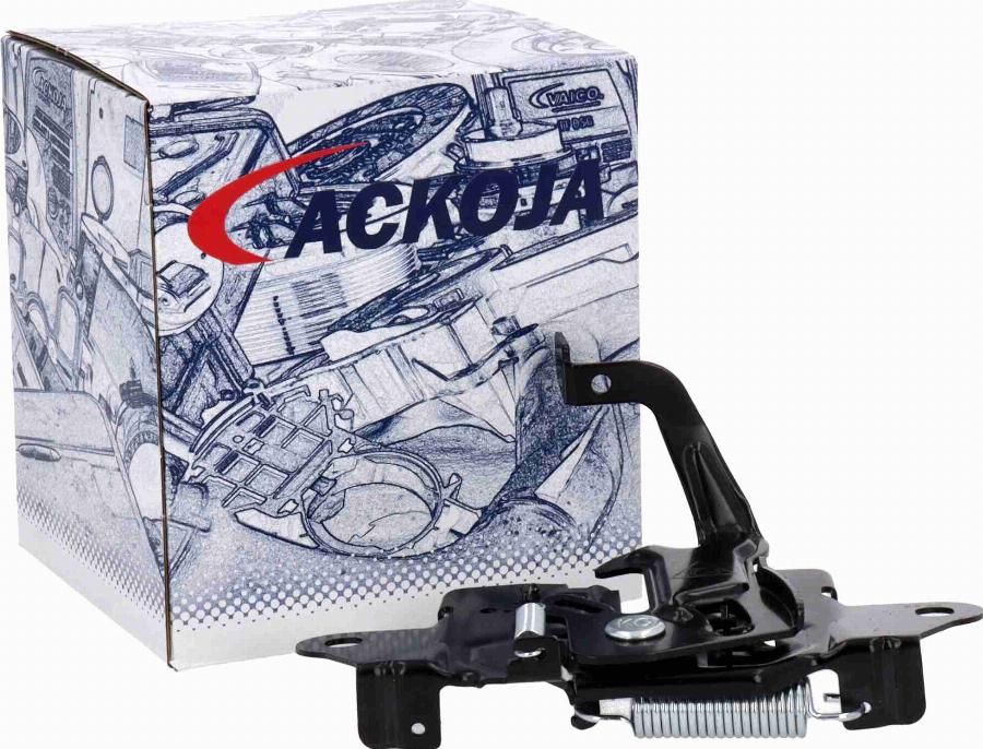 CARRO 504007100 - Door Lock car-mod.net