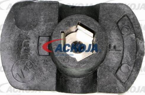 ACKOJA A51-0206 - Water Pump & Timing Belt Set car-mod.net