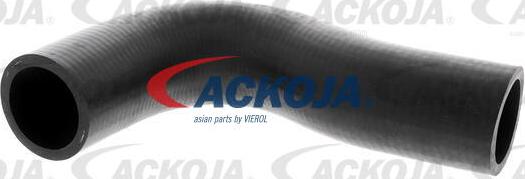 ACKOJA A51-1602 - Radiator Hose car-mod.net