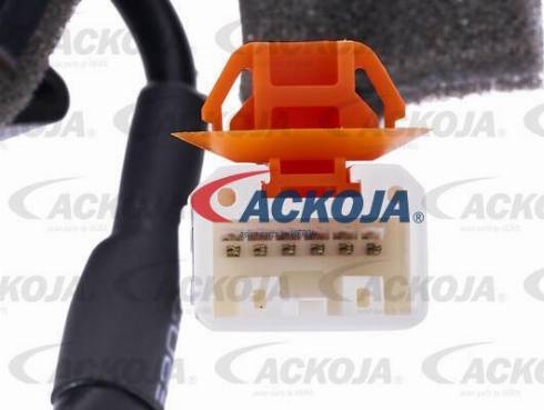 ACKOJA A26-09-0001 - Fuel Supply Module car-mod.net