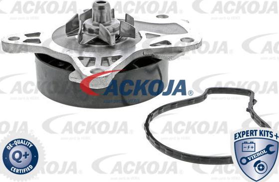 ACKOJA A70-50006 - Water Pump car-mod.net