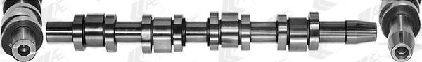 AE CAM938 - Camshaft car-mod.net