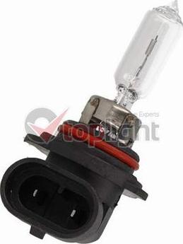 AE TOPLIGHT 39009 - Bulb, spotlight car-mod.net
