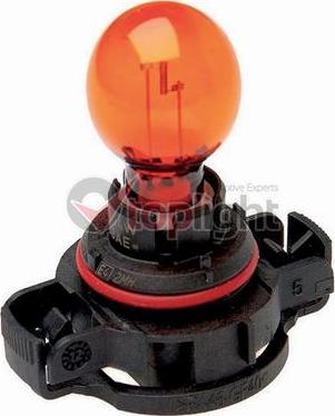AE TOPLIGHT 39070 - Bulb, indicator car-mod.net