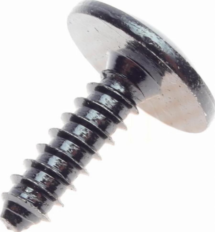 AIC 55665 - Screw car-mod.net