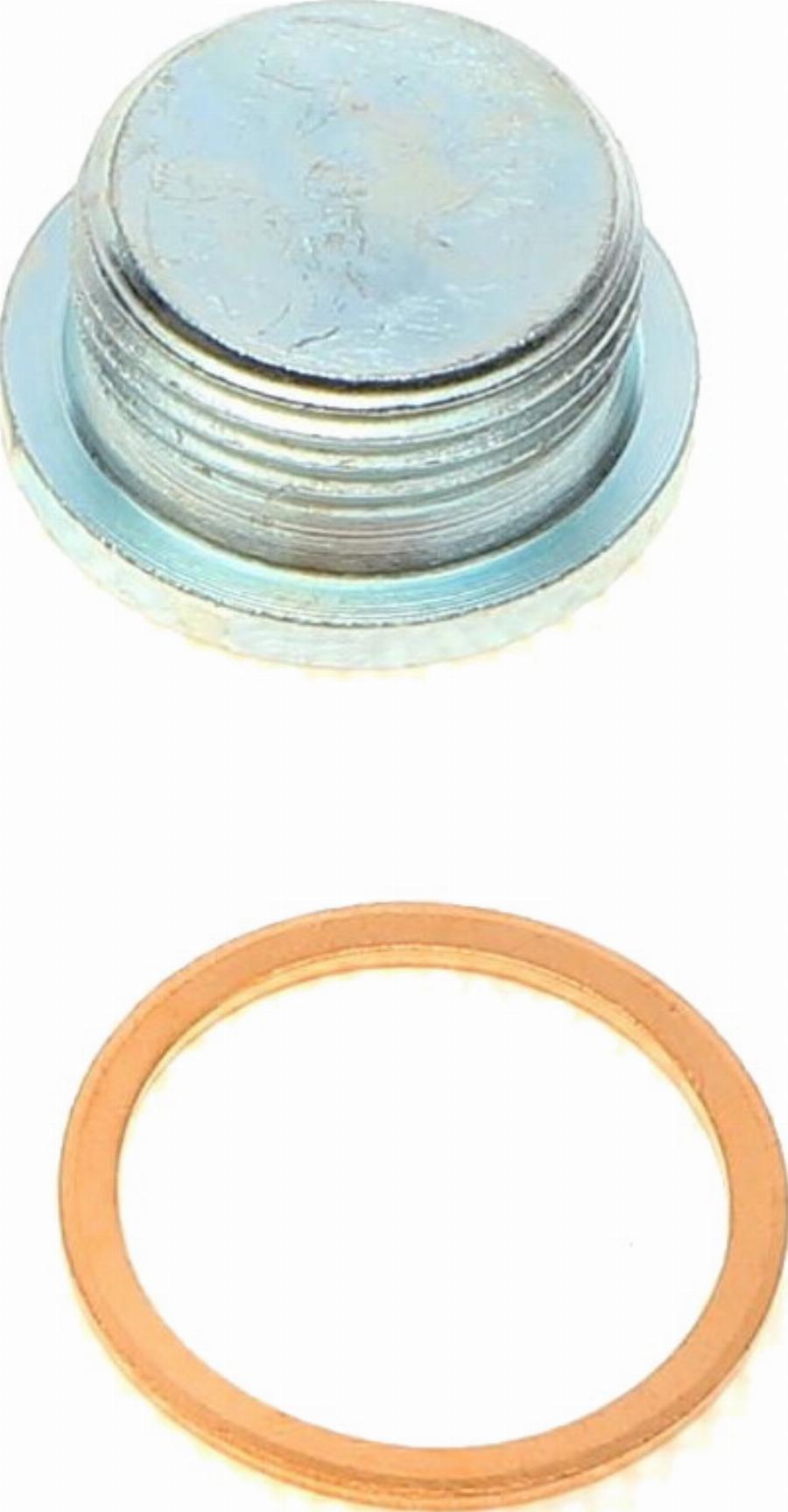 AIC 56421 - Sealing Plug, oil sump car-mod.net