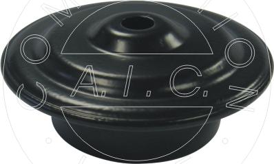 AIC 53918 - Spring Cap car-mod.net