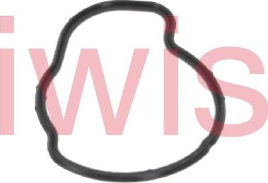 AIC 70030 - Gasket, thermostat car-mod.net