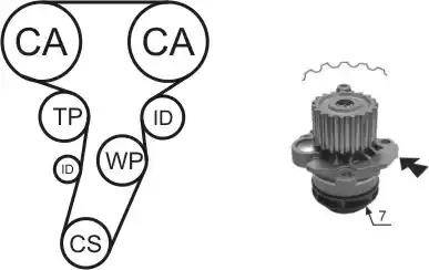 Airtex WPK-177406 - Water Pump & Timing Belt Set car-mod.net