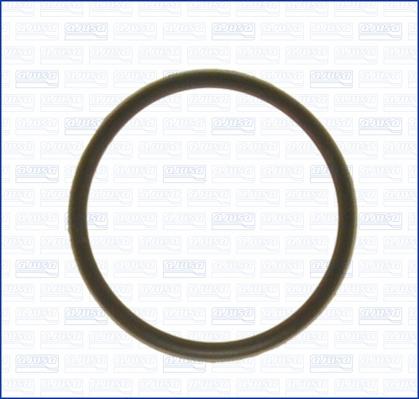 Ajusa 01029000 - Gasket, thermostat car-mod.net