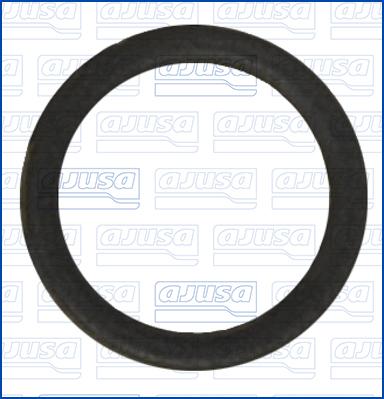 Ajusa 01276300 - Seal Ring, coolant tube car-mod.net