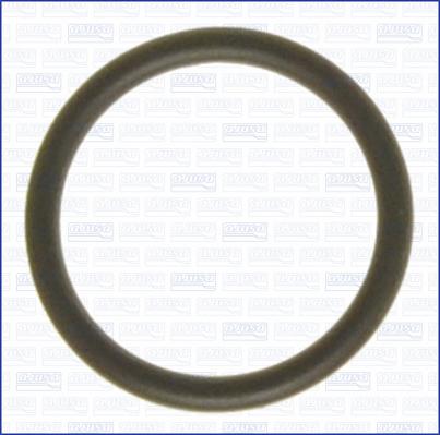 Ajusa 16505500 - Gasket, thermostat housing car-mod.net