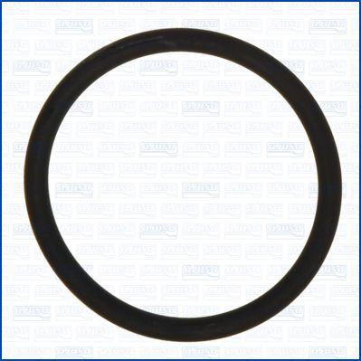 Ajusa 16085600 - Gasket, charger car-mod.net