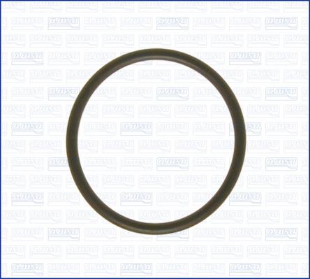 Ajusa 16029000 - Gasket, intake manifold car-mod.net