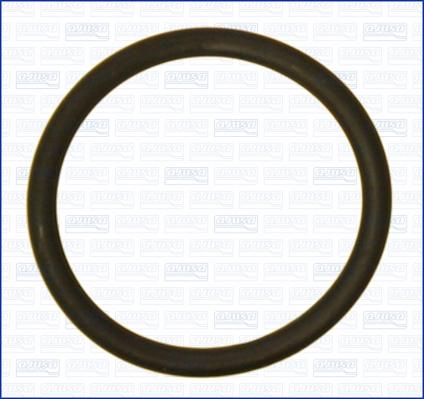 Ajusa 16100000 - Seal Ring car-mod.net