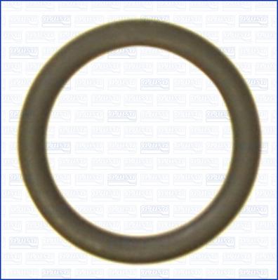 Ajusa 16107300 - Seal Ring car-mod.net
