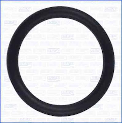 Ajusa 16110900 - Seal Ring car-mod.net