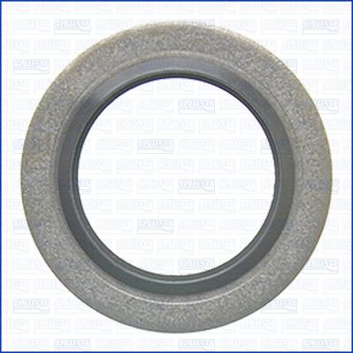 Ajusa 20009100 - Seal Ring car-mod.net