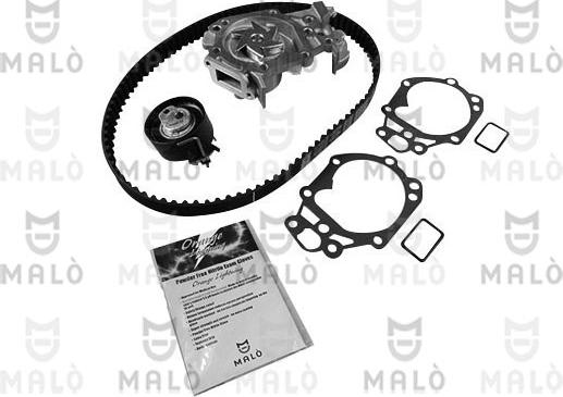 AKRON-MALÒ 1555066 - Water Pump & Timing Belt Set car-mod.net