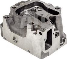 AMC 909074 - Cylinder Head car-mod.net