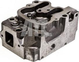 AMC 909073 - Cylinder Head car-mod.net