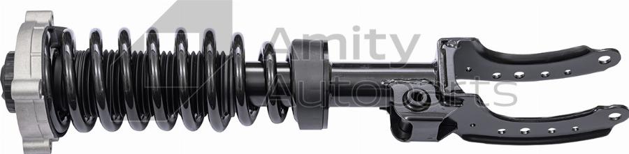 Amity AP 60-SS-0008 - Mounting Set, suspension strut car-mod.net