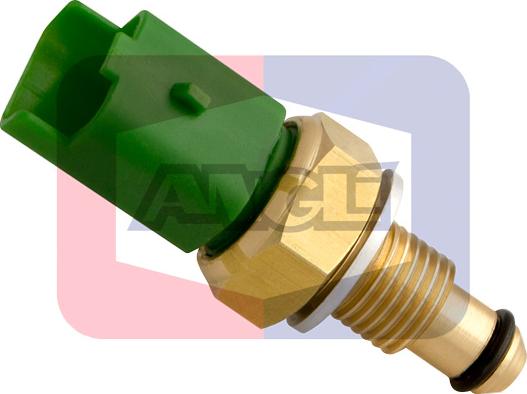 Angli 1894 - Coolant temperature Sensor car-mod.net