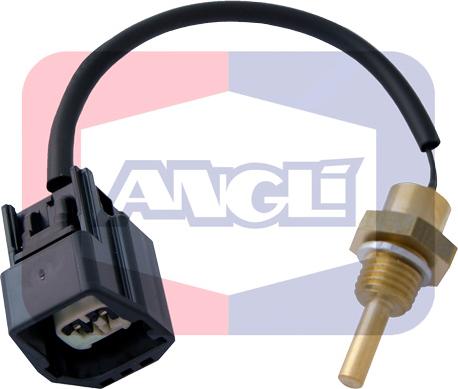 Angli 1880 - Coolant temperature Sensor car-mod.net