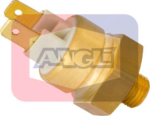Angli 1793 - Coolant temperature Sensor car-mod.net