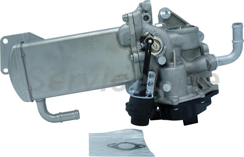 APC AM10136 - EGR Valve car-mod.net