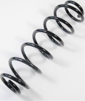 APEX 59000 - Coil Spring car-mod.net