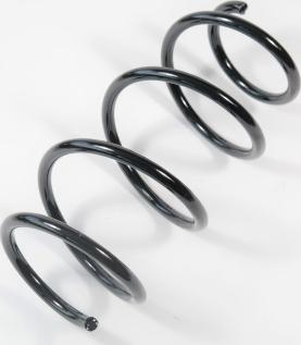 APEX 58998 - Coil Spring car-mod.net