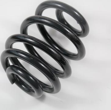 APEX 58916 - Coil Spring car-mod.net