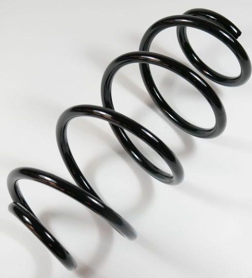 APEX 58858 - Coil Spring car-mod.net