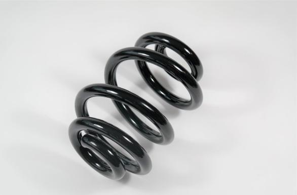 APEX 58746 - Coil Spring car-mod.net