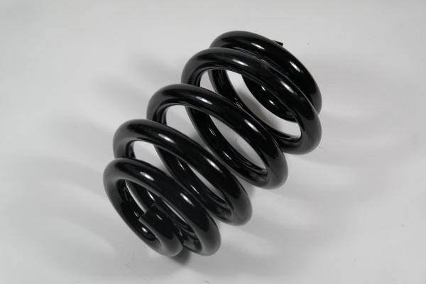 APEX 58751 - Coil Spring car-mod.net