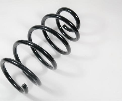 APEX 58714 - Coil Spring car-mod.net