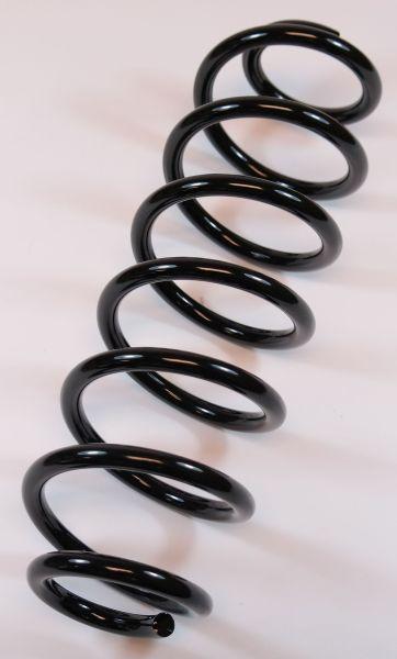 APEX 64169 - Coil Spring car-mod.net