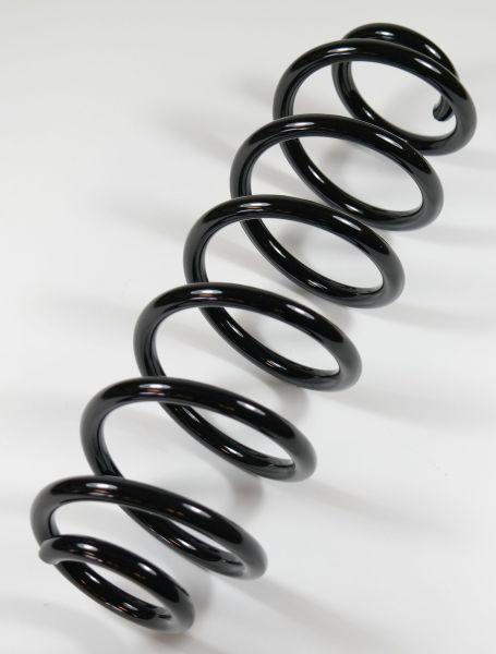 APEX 64180 - Coil Spring car-mod.net