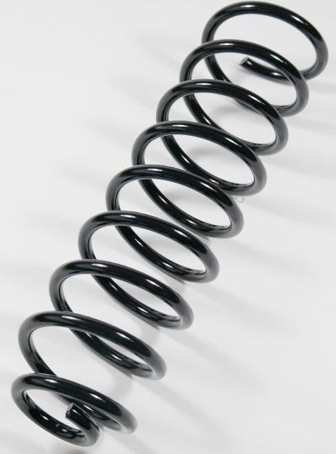 APEX 64174 - Coil Spring car-mod.net