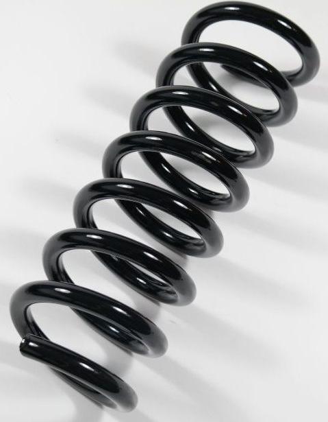 APEX 64284 - Coil Spring car-mod.net