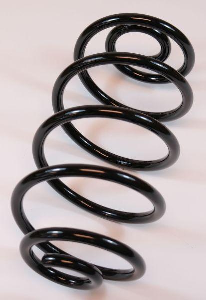 APEX 64282 - Coil Spring car-mod.net