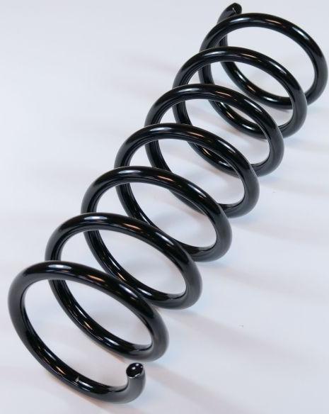 APEX 65216 - Coil Spring car-mod.net