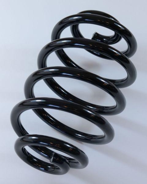 APEX 66524 - Coil Spring car-mod.net
