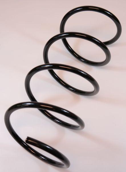 APEX 66698 - Coil Spring car-mod.net
