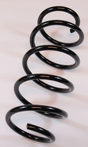 APEX 66666 - Coil Spring car-mod.net